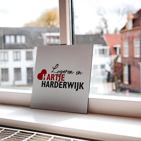 Hartje Апартаменты Хардервейк